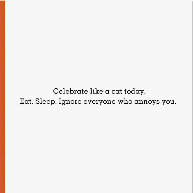 Hallmark Celebrate Like A Cat Funny Birthday Card