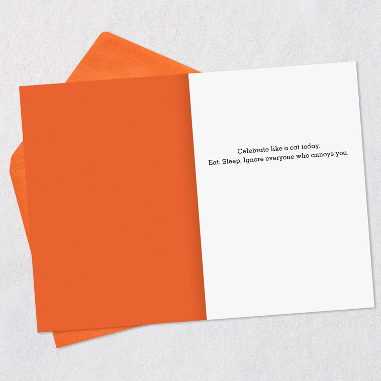 Hallmark Celebrate Like A Cat Funny Birthday Card