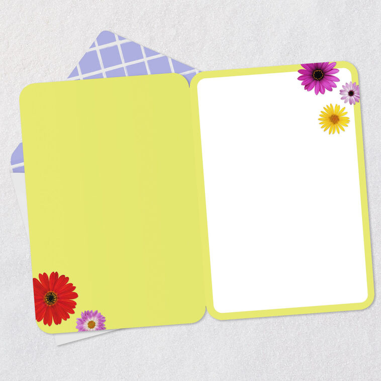 Hallmark Colorful Daisies Blank Card