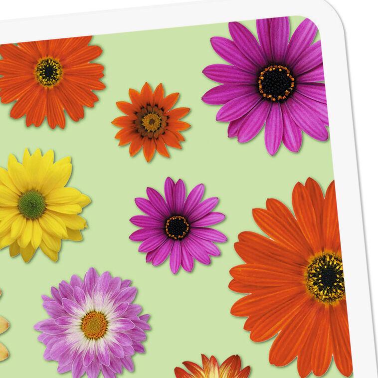 Hallmark Colorful Daisies Blank Card