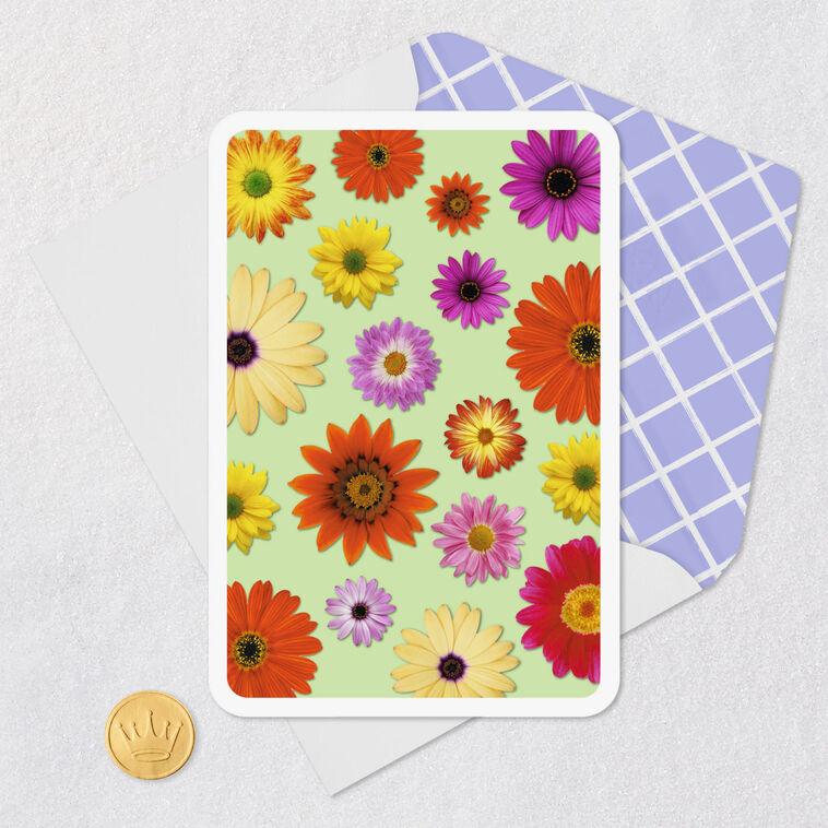 Hallmark Colorful Daisies Blank Card