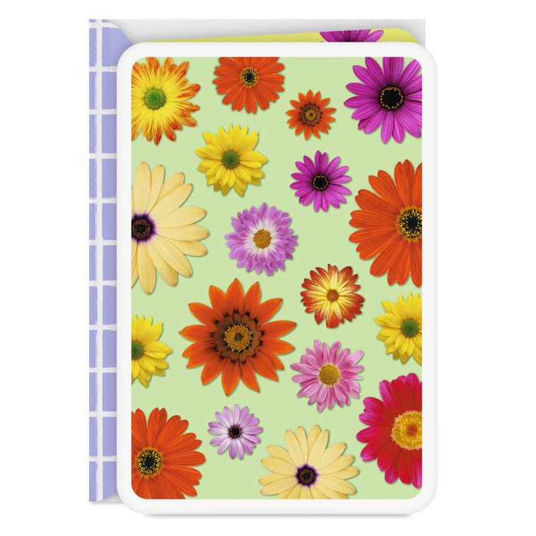 hallmark Colorful Daisies Blank Card