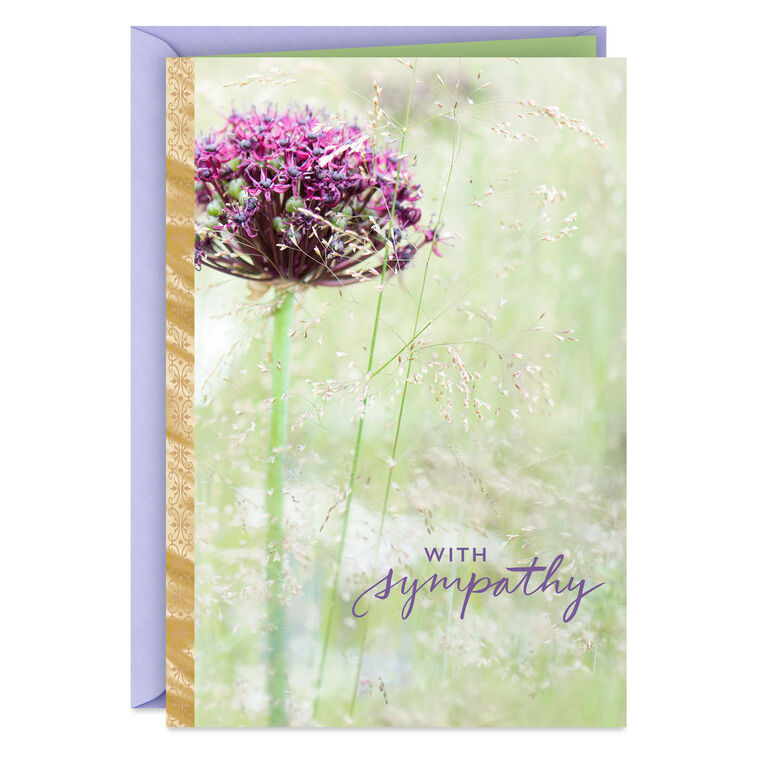 hallmark Comfort Healing and Peace Sympathy Card