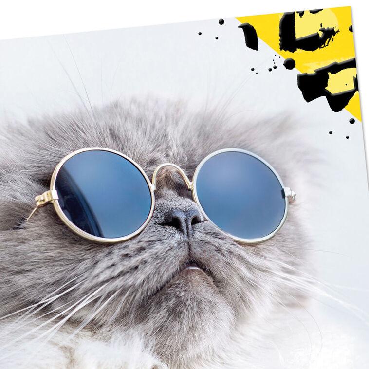 Hallmark Cool Cat Wearing Sunglasses Blank Card