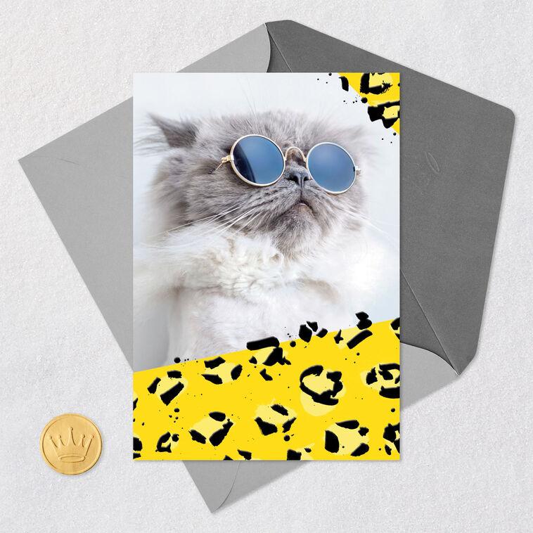 Hallmark Cool Cat Wearing Sunglasses Blank Card