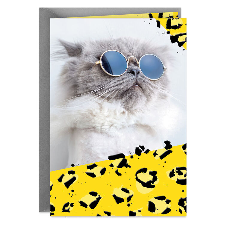 hallmark Cool Cat Wearing Sunglasses Blank Card