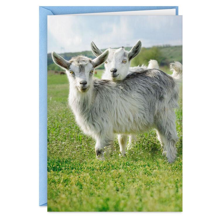 hallmark Crazy Kids in Love Funny Anniversary Card