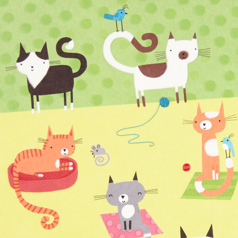 Hallmark Cute Cats Blank Card