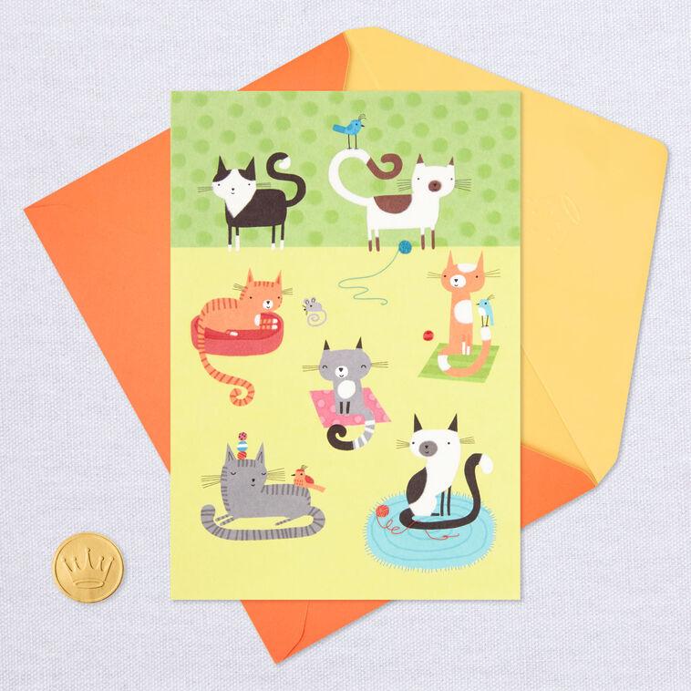 Hallmark Cute Cats Blank Card