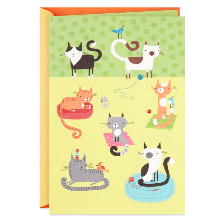 hallmark Cute Cats Blank Card