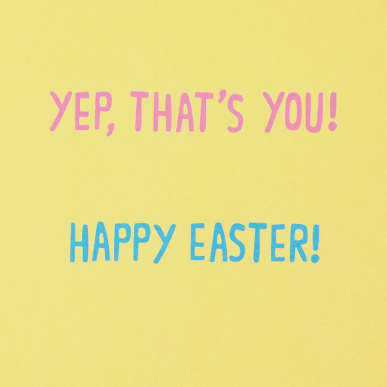 Hallmark Cute Fuzzy Bunny Easter Card