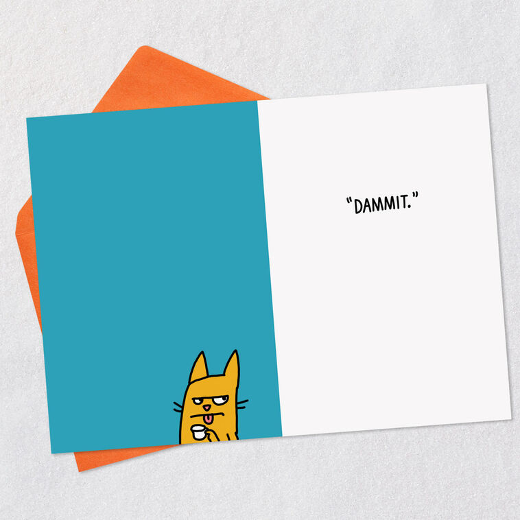 Hallmark Dammit Funny 60th Birthday Card