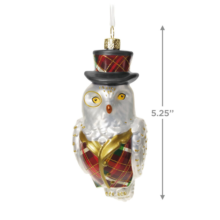 Hallmark Dapper Owl Glass Ornament