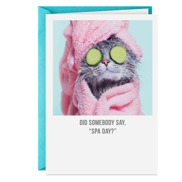 hallmark Did Someone Say Spa Day Funny Card