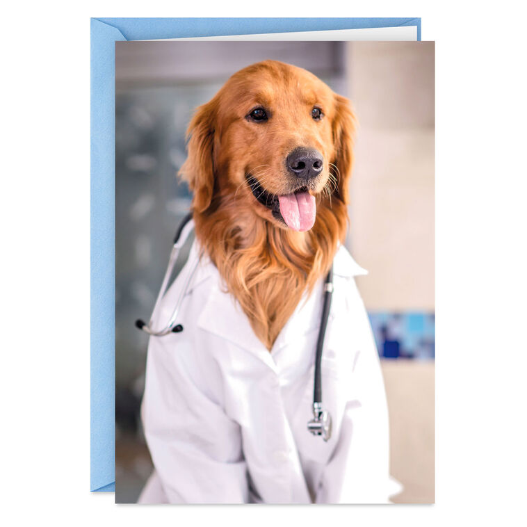 hallmark Dog Doctor Funny Get Well Card