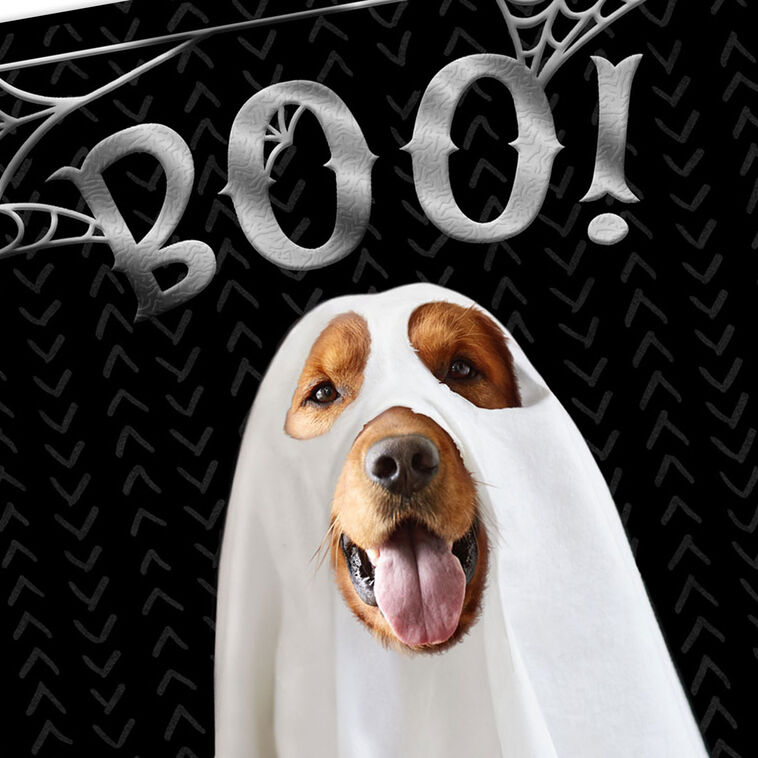 Hallmark Dog In A Ghost Costume Halloween Card