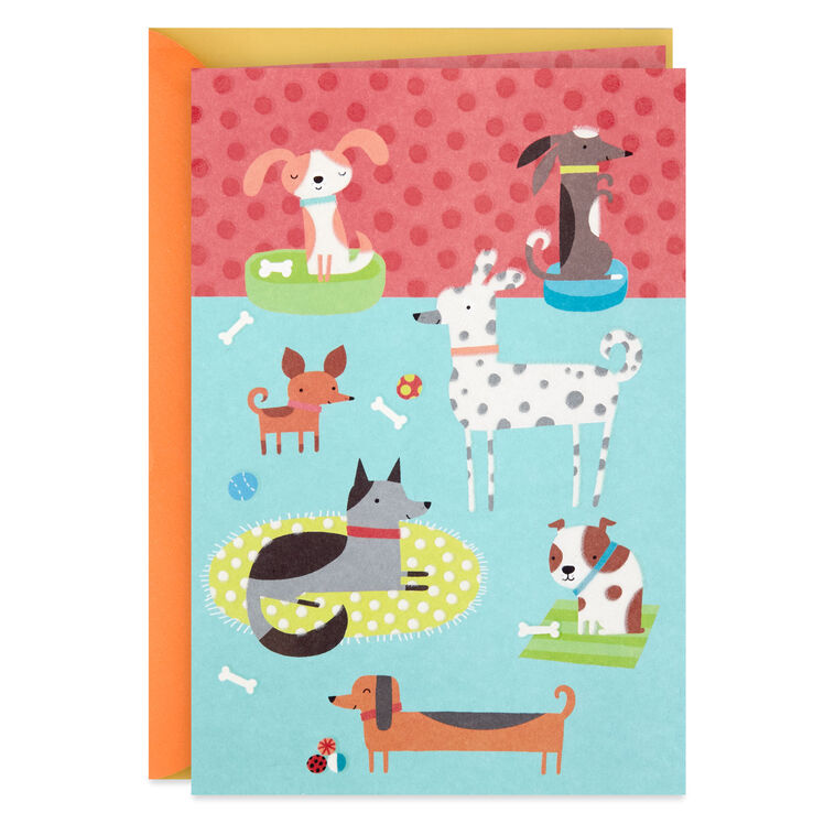 hallmark Dog Party Blank Card