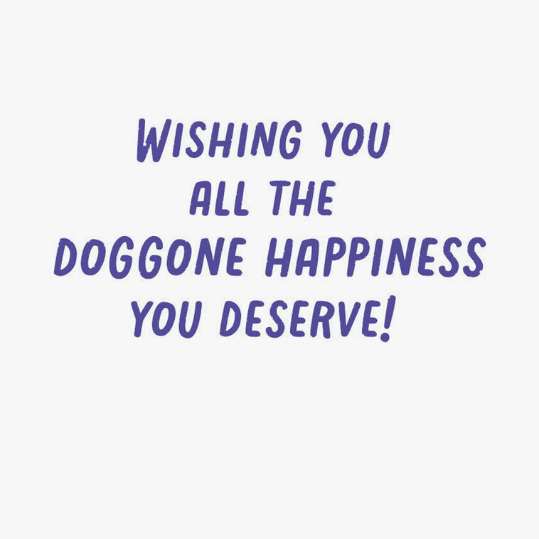 Hallmark Doggone Happiness Birthday Card
