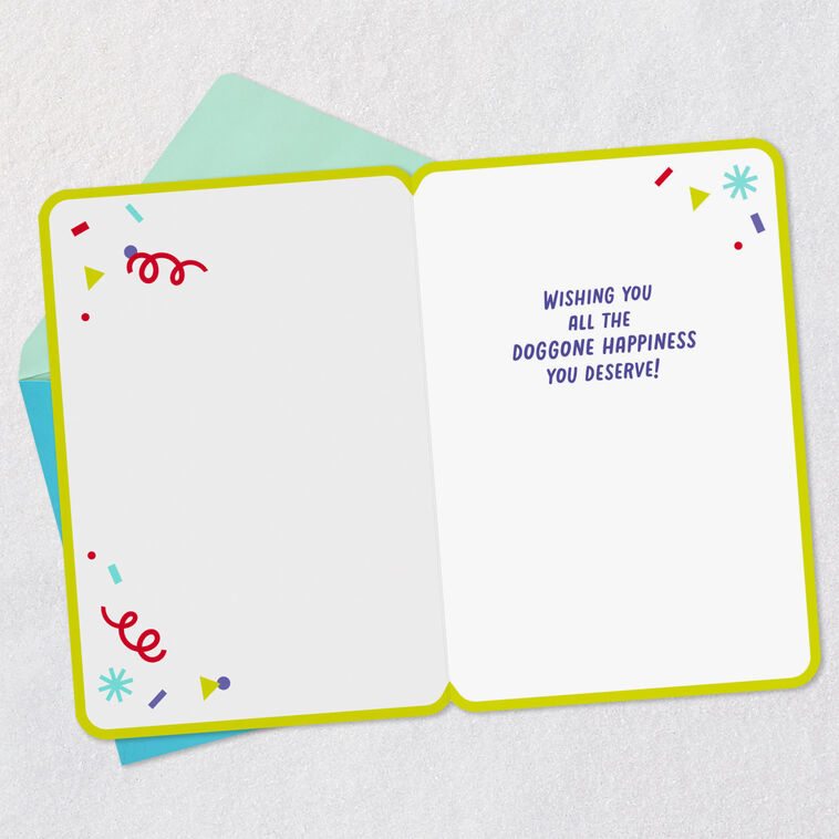 Hallmark Doggone Happiness Birthday Card