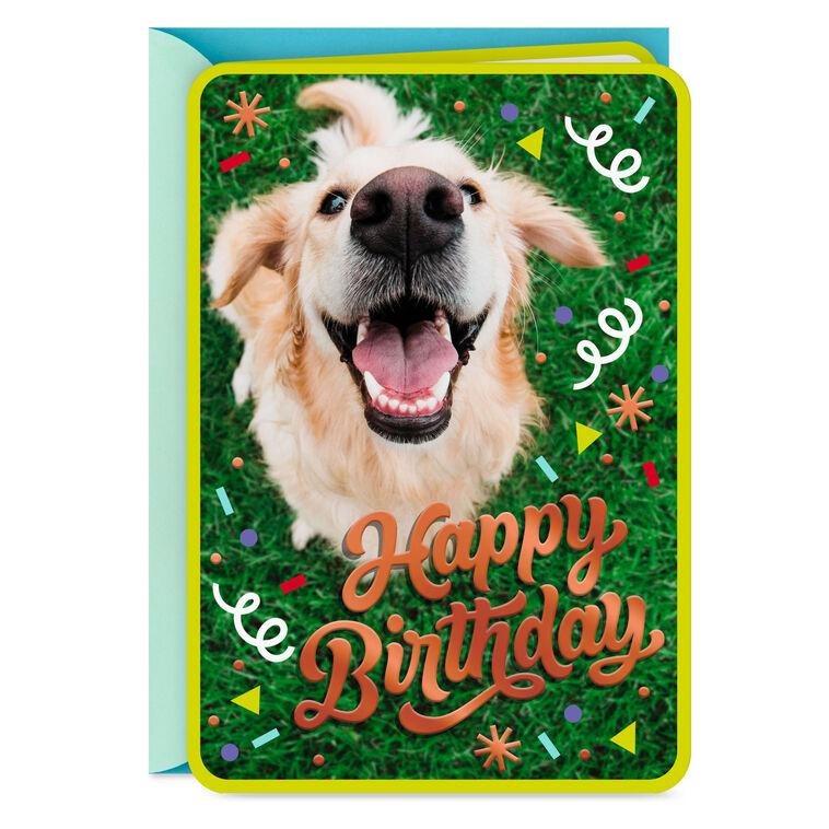hallmark Doggone Happiness Birthday Card