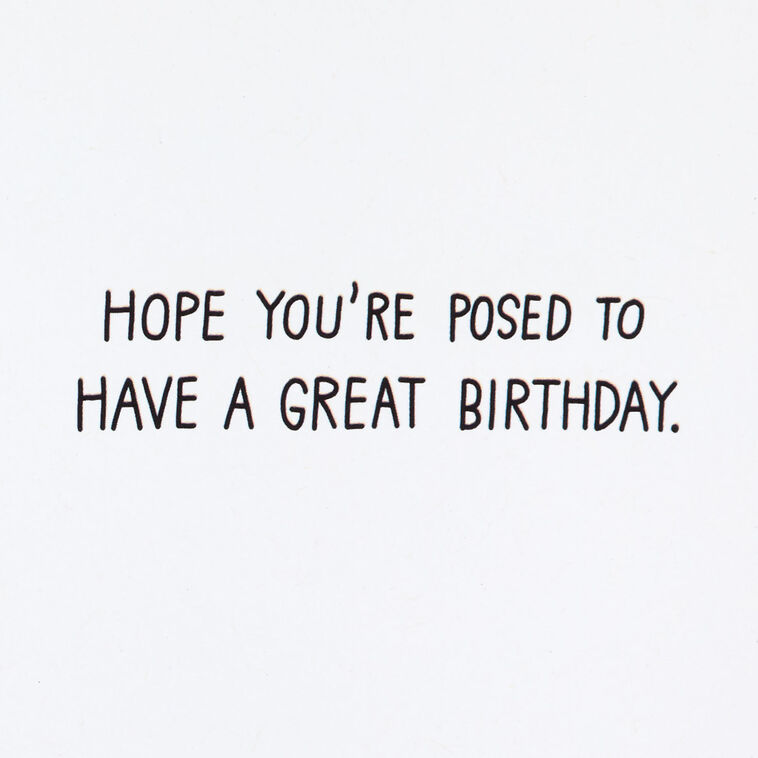 Hallmark Dogs Doing Yoga Poses Funny Birthday Card