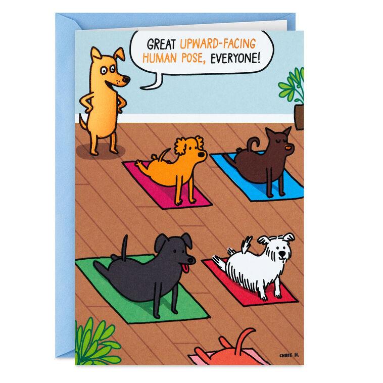 hallmark Dogs Doing Yoga Poses Funny Birthday Card