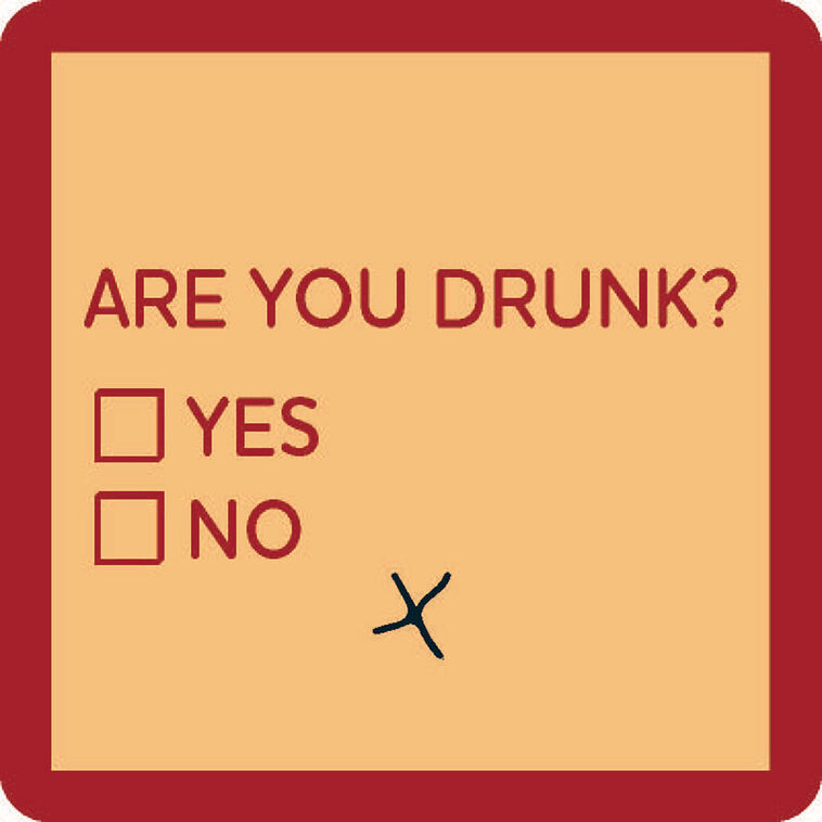 hallmark Drinks on Me Are You Drunk Funny Coaster