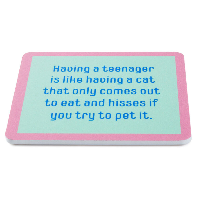 Hallmark Drinks On Me Eat And Hiss Funny Coaster