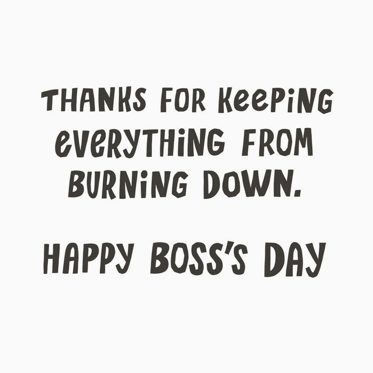 Hallmark Dumpster Fire Funny Boss's Day Card
