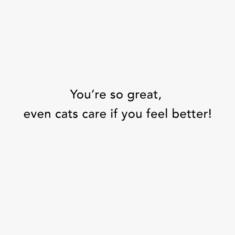 Hallmark Even Cats Care Funny Get Well Card