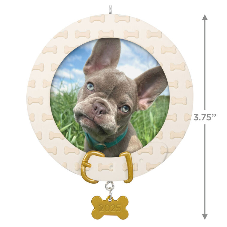 Hallmark Faithful Friend 2025 Photo Frame Ornament