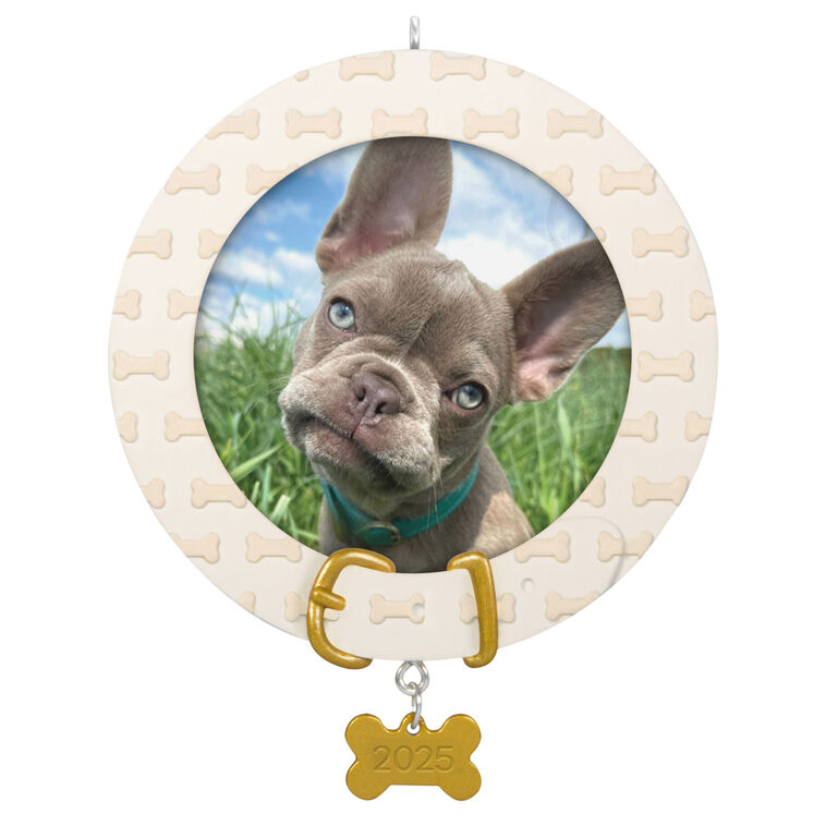 hallmark Faithful Friend 2025 Photo Frame Ornament