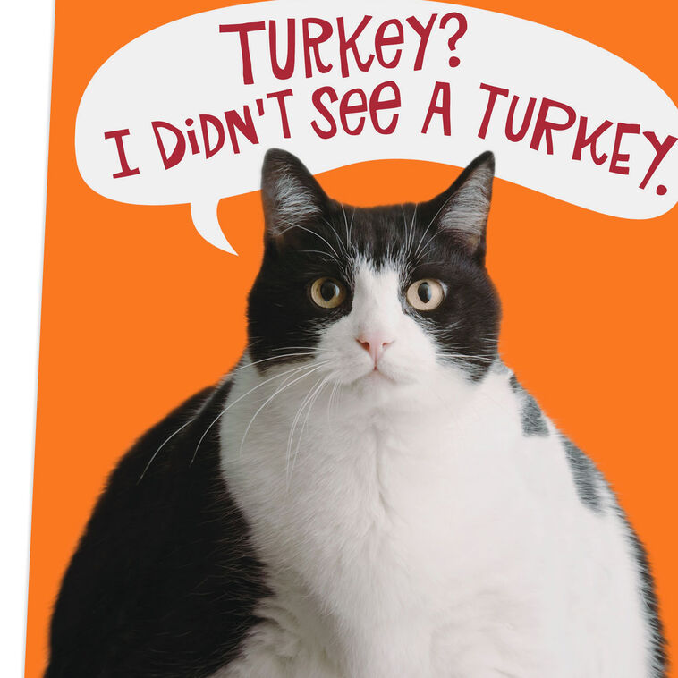 Hallmark Fat Cat Funny Thanksgiving Card