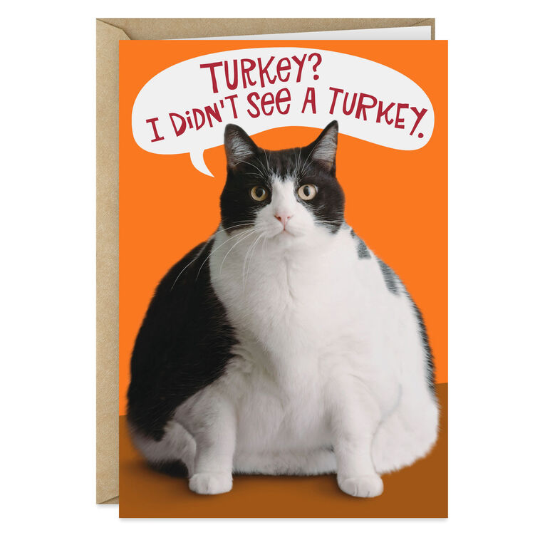 hallmark Fat Cat Funny Thanksgiving Card