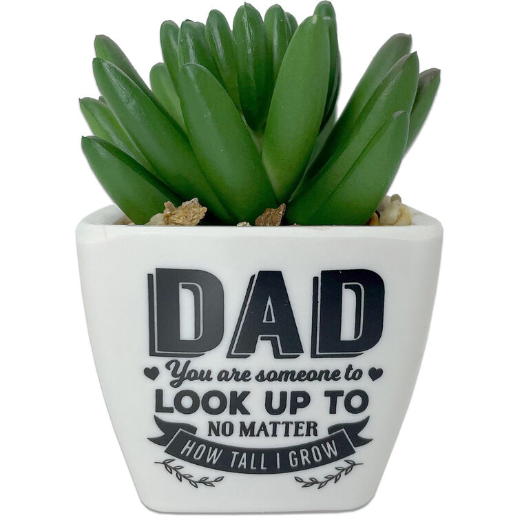 hallmark Faux Potted Succulent With Dad Message