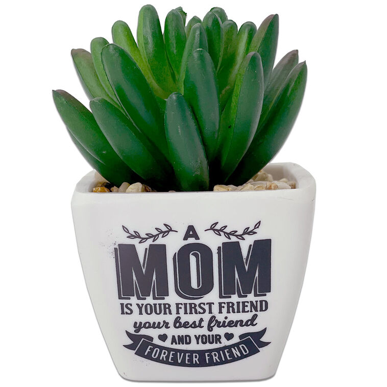 hallmark Faux Potted Succulent With Mom Message