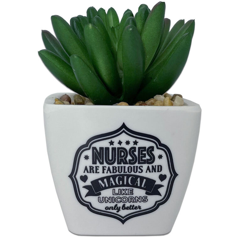 hallmark Faux Potted Succulent With Nurse Message
