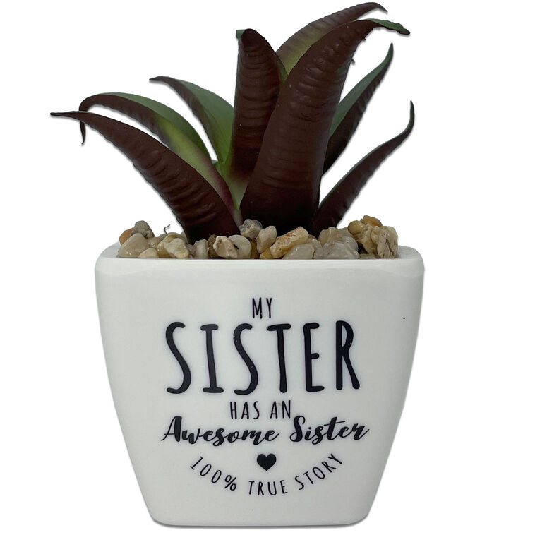 hallmark Faux Potted Succulent With Sister Message