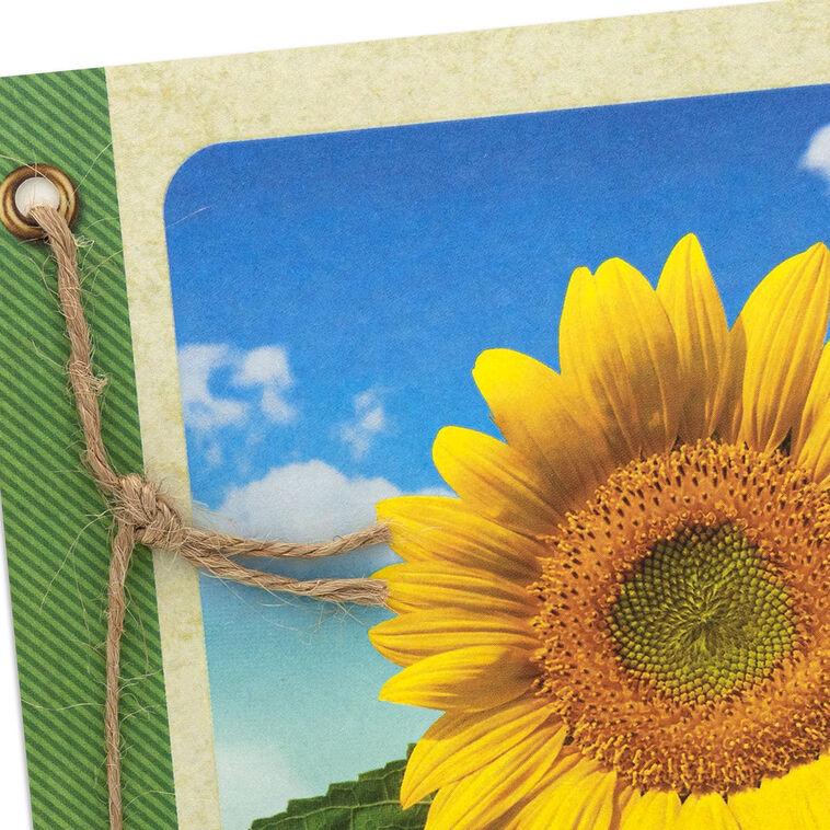 Hallmark Field Of Sunflowers Blank Card