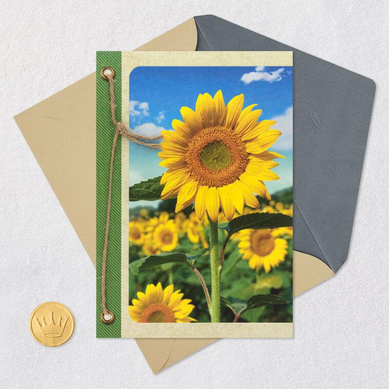 Hallmark Field Of Sunflowers Blank Card
