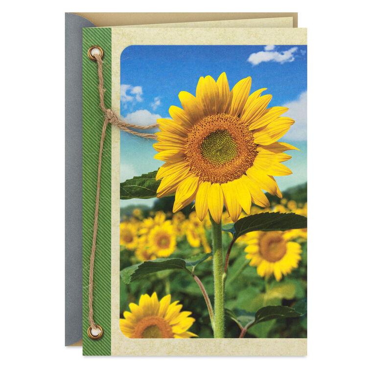 hallmark Field of Sunflowers Blank Card