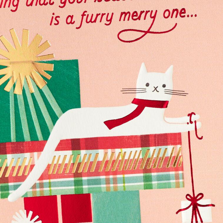 Hallmark Furry Wishes Christmas Card From Cat