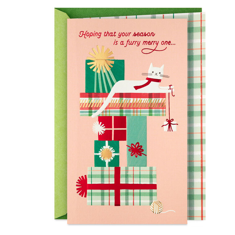 hallmark Furry Wishes Christmas Card From Cat