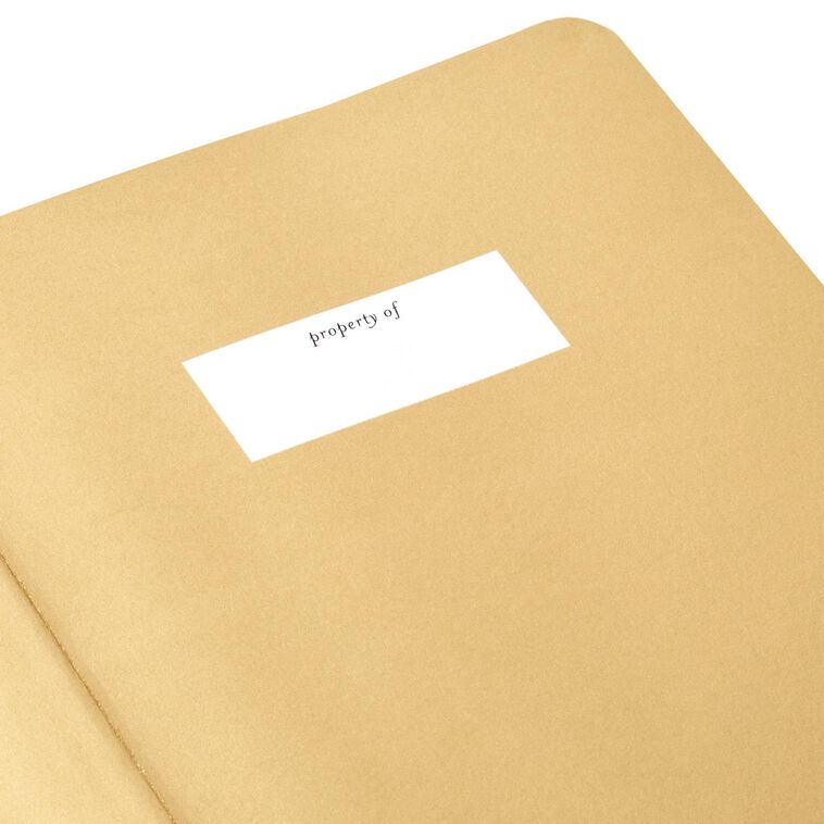 Hallmark Gold Toile On Aqua Hardback Notebook