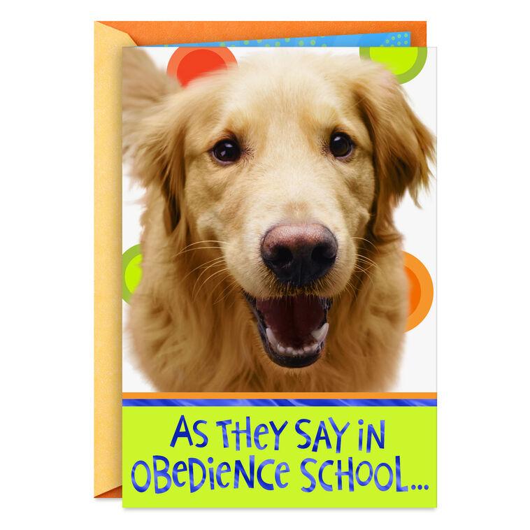 hallmark Golden Retriever Heal Get Well Card