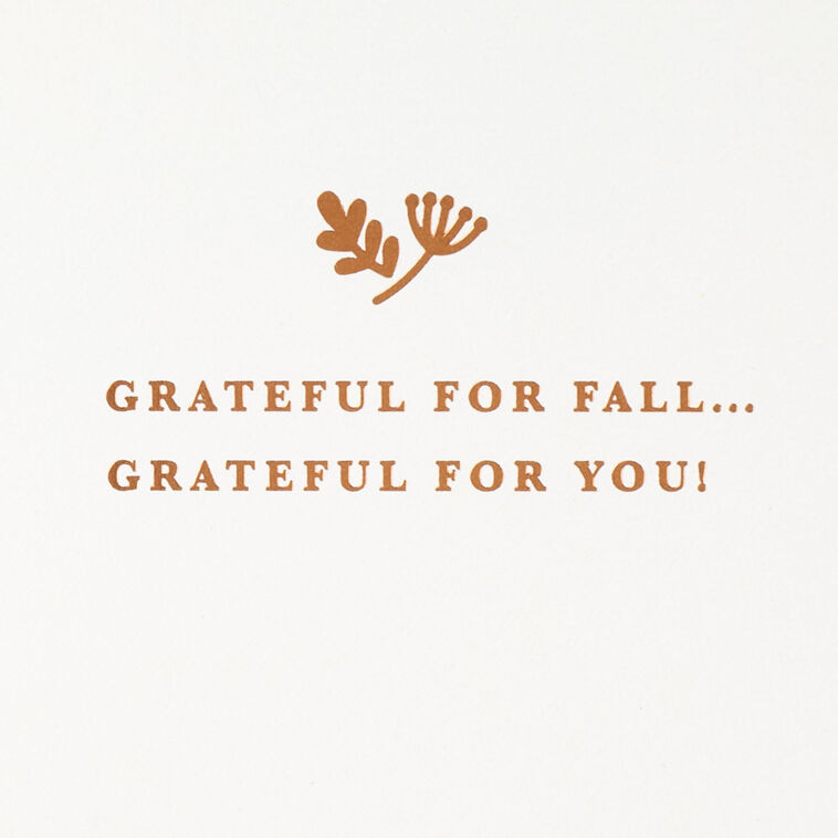 Hallmark Grateful For You Autumn Card