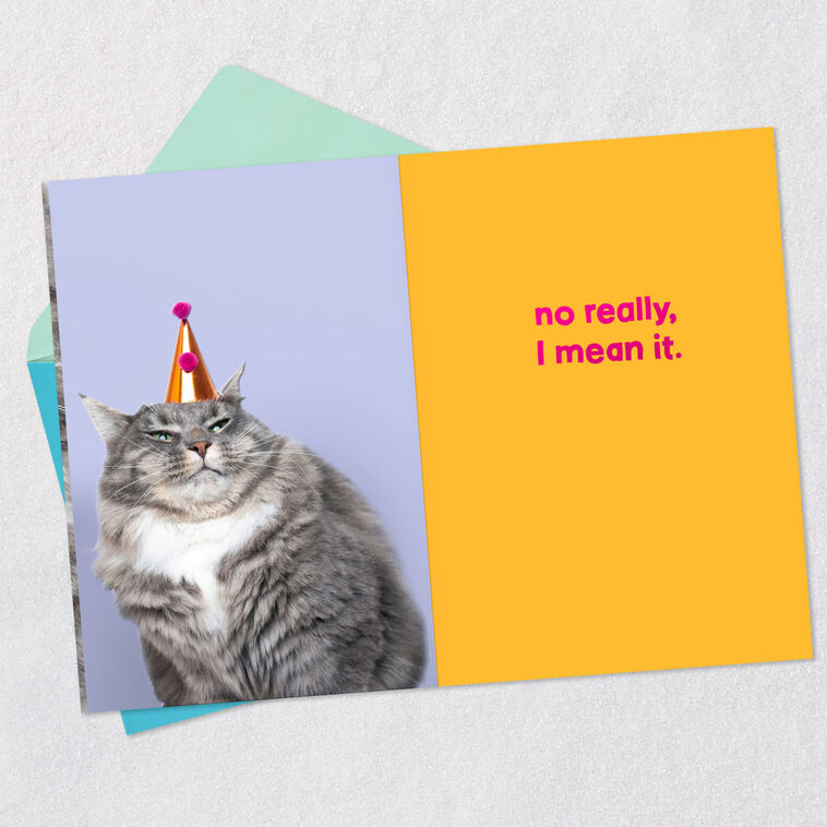 Hallmark Grumpy Cat Funny Birthday Card