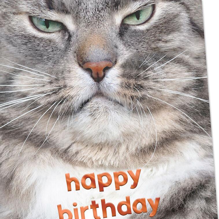 Hallmark Grumpy Cat Funny Birthday Card
