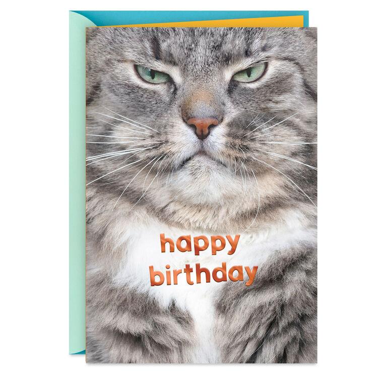 hallmark Grumpy Cat Funny Birthday Card