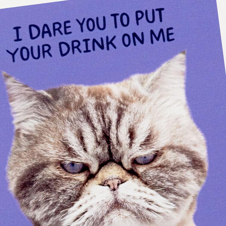 Hallmark Grumpy Kevin The Cat Photo Funny Coaster